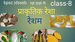 BPSC DSSSB TGT PGT LT NET GIC home science silk रेशम Textile Education9285 [upl. by Airbmac]