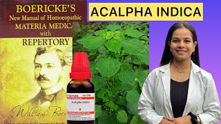 ACALPHA Indica homeopathic mother tincture from boerickes materia medica in Hindi [upl. by Aelc796]