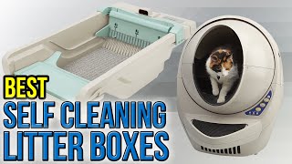 6 Best Self Cleaning Litter Boxes 2017 [upl. by Leunamne198]