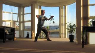 Tai Chi Hand Form  Ronnie Robinson [upl. by Nerrol3]