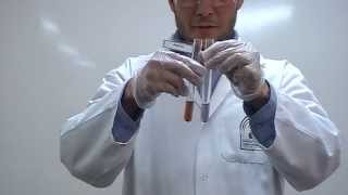 Sakaguchi test Part 2 Identification of Amino Acids Arginine [upl. by Nitsed]