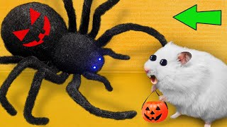 DIY New Halloween Hamster Maze 🎃 Hamster Escapes [upl. by Odrareve]