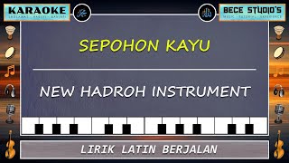 Karaoke  Sepohon Kayu Full Lirik [upl. by Osmond]