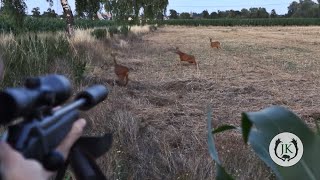 Blattjagd  Rehbrunft Jagd auf den Rehbock  Jagdkrone [upl. by Merralee]