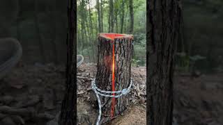 Make Your Own Swedish Torch While Camping Simple and Effective [upl. by Kallick]