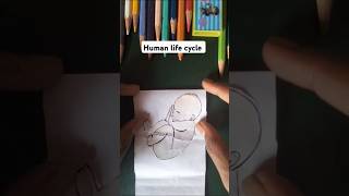 Human life cycle art shorts drawing [upl. by Sapienza889]