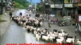 Dashain Nai Ho Ki Yogeshwor Amatya Full Song [upl. by Hildick]