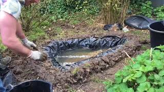 How to Build an Amphibian Conservation Area in your Garden [upl. by Vento]