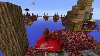 DANIREP EL LIADOR  Sky Wars Minecraft [upl. by Morette]