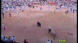 Encierro de San Fermín  8 de julio de 1983 [upl. by Dlanod466]