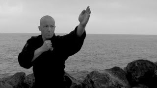 Ninjutsu Kamae and important kata  AKBAN daily training recommendation [upl. by Andrej]