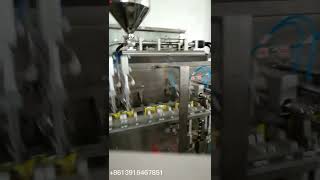 HC180SD HFFS automatic horizontal form fill duplex doypack pouch sauce packing machine [upl. by Magocsi]