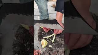 Versatile bone chopping knife for hunting and outdoor tasksshortvideo [upl. by Mctyre]