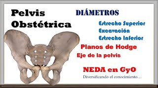 Pelvis Obstétrica Diámetros Planos de Hodge Eje de la pelvis [upl. by Marthe]