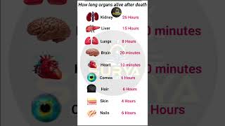 How long organs live after death [upl. by Yeltnerb]