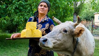 Cheese Making at Home  Organic Cheddar Cheese [upl. by Ehtyaf693]