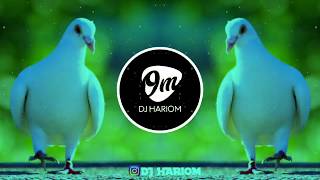 KABUTAR JA JA  DJ VRV  DJ HARIOM [upl. by Emmeram]