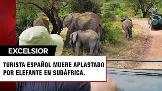 Turista español muere aplastado por un elefante en parque de Sudáfrica [upl. by Yenrab]