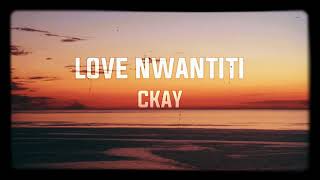 CKay  Love Nwantiti Lyrics Acoustic Version [upl. by Ativel]