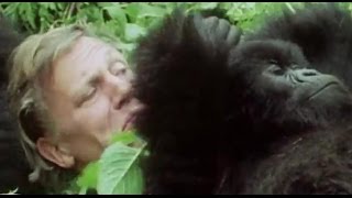 Your Favourite Sir David Attenborough Moments AttenboroughWeek  BBC Earth [upl. by Patti824]