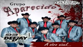 La Dama  Grupo Aparecido Carbonera SLP A Otro Nivel 2014 Album [upl. by Irreg962]