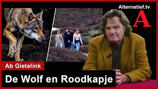 348 De Wolf en Roodkapje Column Ab Gietelink [upl. by Ainafets]