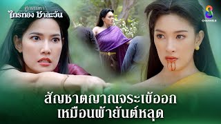 สัญชาตญาณจระเข้ออก เหมือนผ้ายันต์หลุด  HIGHLIGHT ศึกเสน่หา ไกรทอง ชาละวัน EP34  ละครช่อง8 [upl. by Harlen]