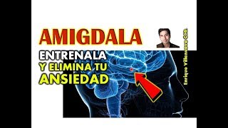 ANSIEDAD ENTRENA TU AMIGDALA Y ELIMINA LA RESPUESTA ANSIOSA [upl. by Rozalie662]