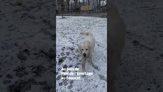 Les premiers flocons de neige sont arrivés en Gironde [upl. by Nosrej]