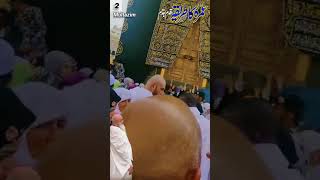 How to Perform Umrah Step by Step 02 Multazim Hateem in Baitullah shorts viralvideo tawafekaba [upl. by Imojean]