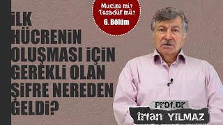 İlk hücrenin oluşması için gerekli olan şifre nereden geldi I ProfDr İrfan Yılmaz [upl. by Eizeerb]