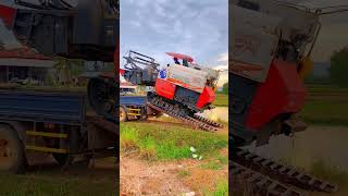 Rice harvester dc70 dithpanharith tractorkhmer tractor havesting rice shortvideo shorts [upl. by Corella]