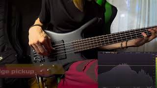 Bartolini Quad Coil Pickups with Zlatoyar Bass [upl. by Ecirtnas]