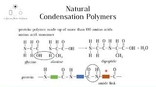 Natural Condensation Polymers Proteins and Carbohydrates GCSE Chemistry [upl. by Abigael]