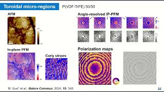 Toroidal topology and its manipulation in ferroelectric polymers [upl. by Naejeillib]