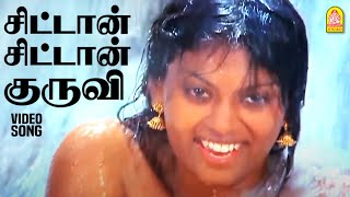 Chittan Chittang  HD Video Song  சிட்டான் சிட்டான் குருவி  Kavalan Avan Kovalan  Prabhu  Rekha [upl. by Lois]