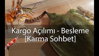 Paket Açılımı  Besleme VLOG  Agresif Kaplumbağa  Karidesler  Akrep vs [upl. by Aubry407]