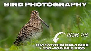 Bird Photography With the OM1 MKII and the 150400 F45 Pro in Belgium [upl. by Bobine]