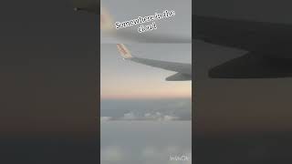 clouds aeroplane travel cloudview cityview from top shortvideo shorts [upl. by Alexia]