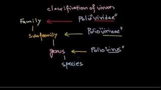 2 Classification of viruses [upl. by Lala]