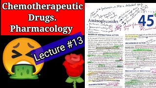 Chemotherapeutic drugs pharmacology lecture13 chapter 45 AMINOGLYCOSIDES chemotherapy lecture [upl. by Galliett930]