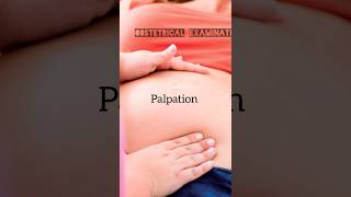 Obstetrical ExaminationPregnancy check upfour grips savit savitnursinglectures viral [upl. by Oirifrop]