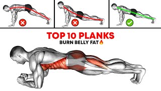 Plank Workout Routine to Lose Belly Fat Fast – Top 10 Exercises [upl. by Estrellita147]