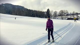 Langlaufen in Schwarzwald HD [upl. by Lebezej401]