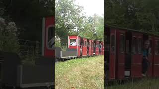 102 on the Eastleigh Lakeside Railway short steamtrain steam train miniaturerailway railway [upl. by Larisa54]