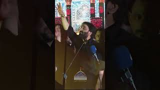 Nadeem Sarwar  Karbala shorts trending viral shortvideo shorts noha ahlebait nadeemsarwar [upl. by Margherita]