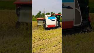 kubota DR120 harvester machines 😀😀 shorts kubota harvester [upl. by Jarlath]