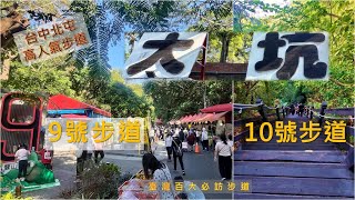 台中北屯 台中高人氣步道  大坑9號、10號步道 10上9下  台灣百大必訪步道 [upl. by Aihsemak652]