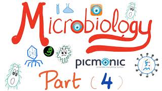 Microbiology  Viridans Streptococcus pyogenes agalactiae bovis Enterococci  Picmonic Part 4 [upl. by Giffy]