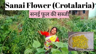 Sanai  Crotalaria juncea Flower Cooking  सनई फूल की सब्जी देहाती स्टाइल में [upl. by Tessa]